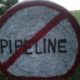 Pipeline Victory in Court!