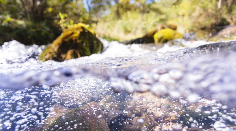 Clear water bubbles up half the image frame and river rocks can be seen behind the bubbles with trees and blue sky in the background.
