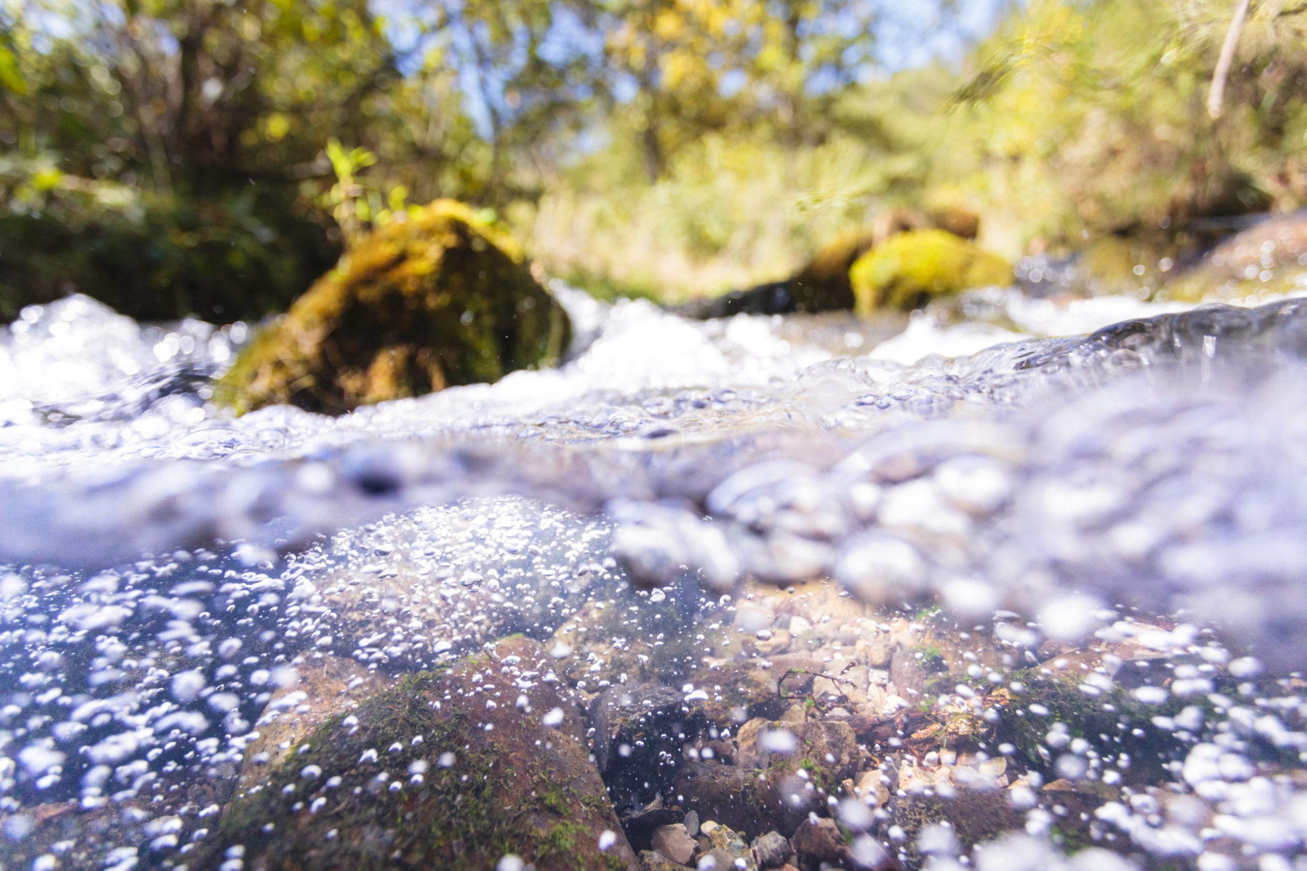 Clear water bubbles up half the image frame and river rocks can be seen behind the bubbles with trees and blue sky in the background.