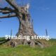 Standing Strong.