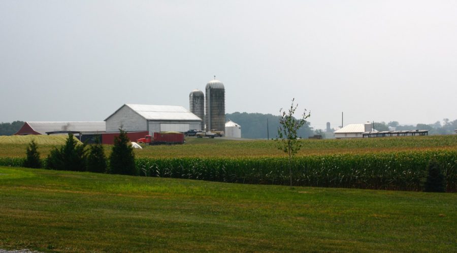 Achieving a Community’s Vision