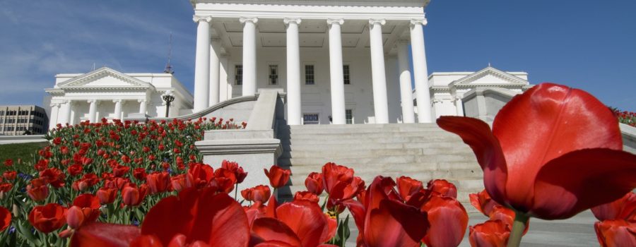 Richmond Virginia's capitol against a bright blue sky with vivid red tulips blooming in the foreground.