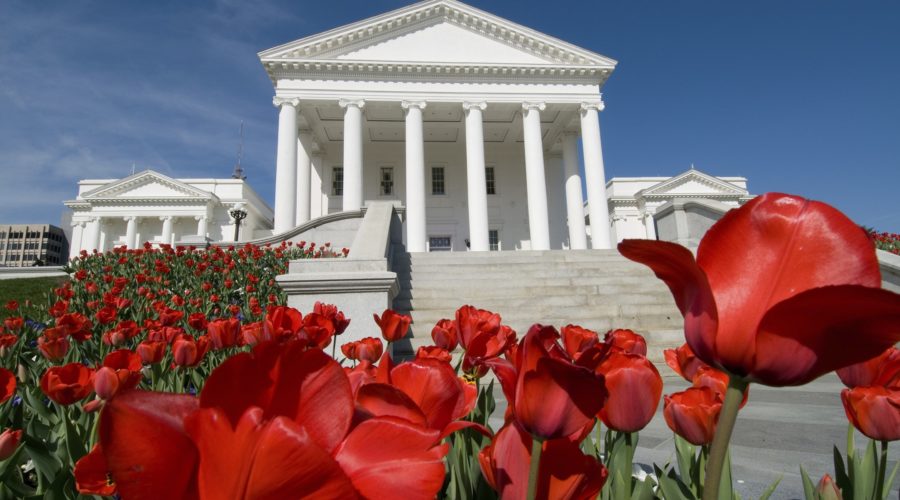 Richmond Virginia's capitol against a bright blue sky with vivid red tulips blooming in the foreground.