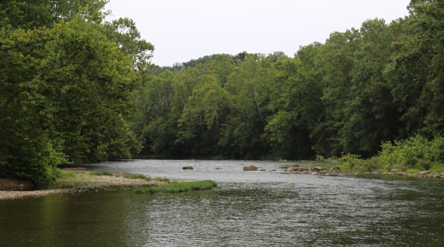 A wide river bends to the right and then the left between tall green trees under an overcast sky.