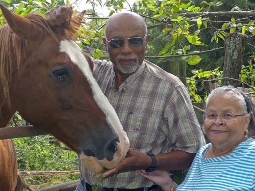 Hidden Springs Farm, operated by Walter and Joan Brown is not only a Virginia Century Farm, but is one of the last African American farms in Augusta County.