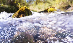 Stream water bubbles up the image frame and around submerged rocks with out-of-focus green trees and underbrush shining in the background.