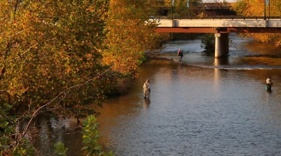 South River Joins Scenic River Map