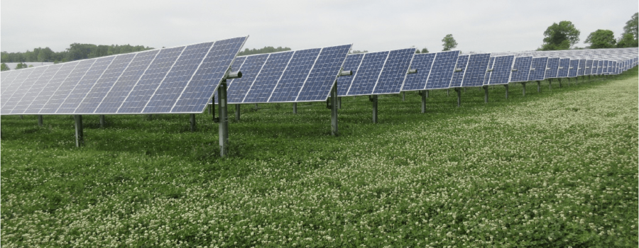 Augusta County Considers Round Hill Solar Project