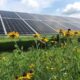 Take the Augusta County Utility-Scale Solar Survey