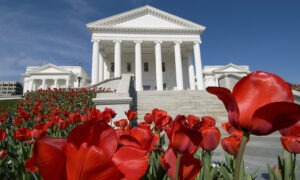 The Virginia capitol building stands tall against a bright blue sky with tips of red tulips in bloom in the foreground.