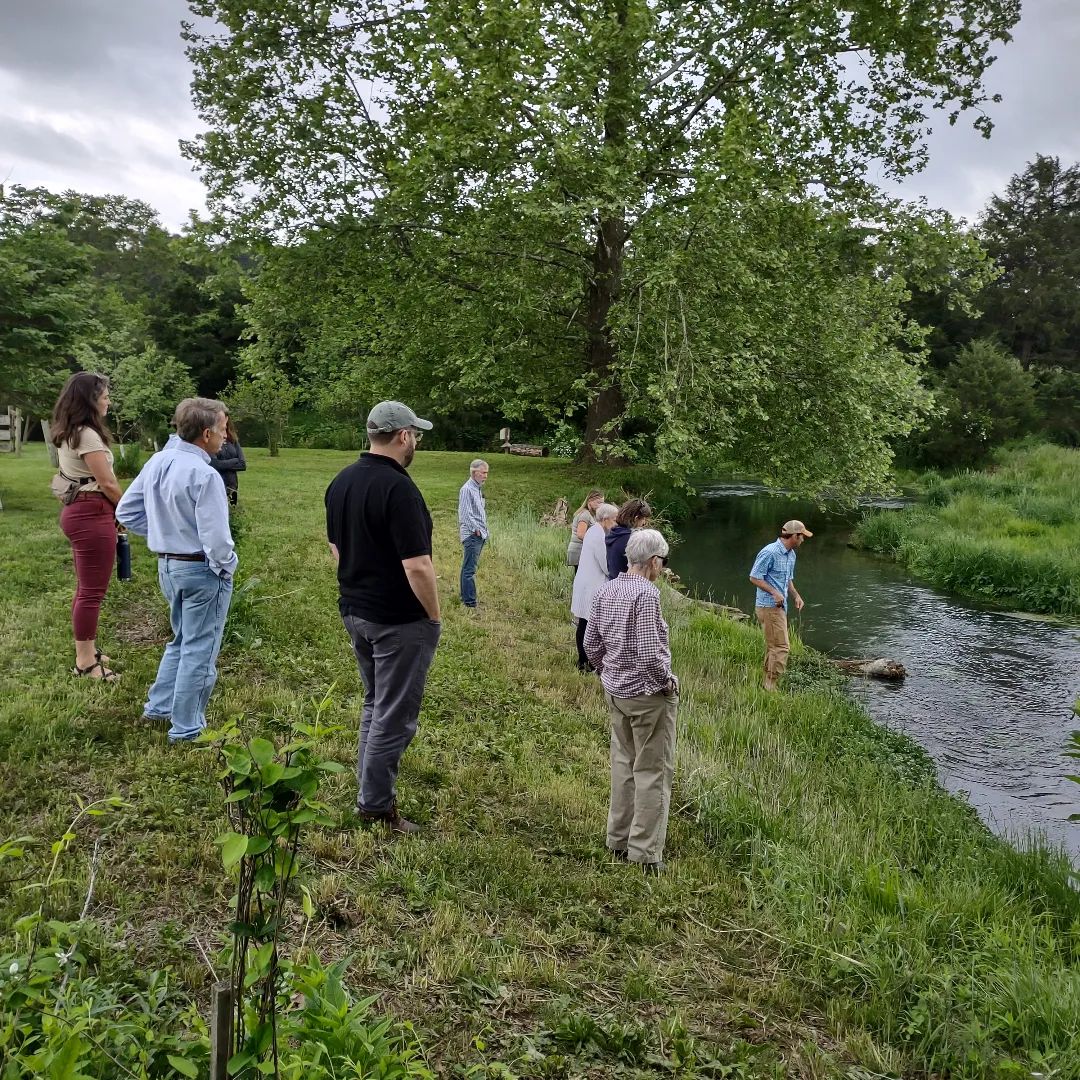 A group of Alliance board and staff gather at the side of a creek that runs between two fields. One side of the stream bank has been recently restored.
