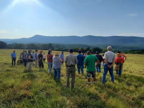About 25 people are standing in a field in the afternoon sun listening to someone talk about framing practices.