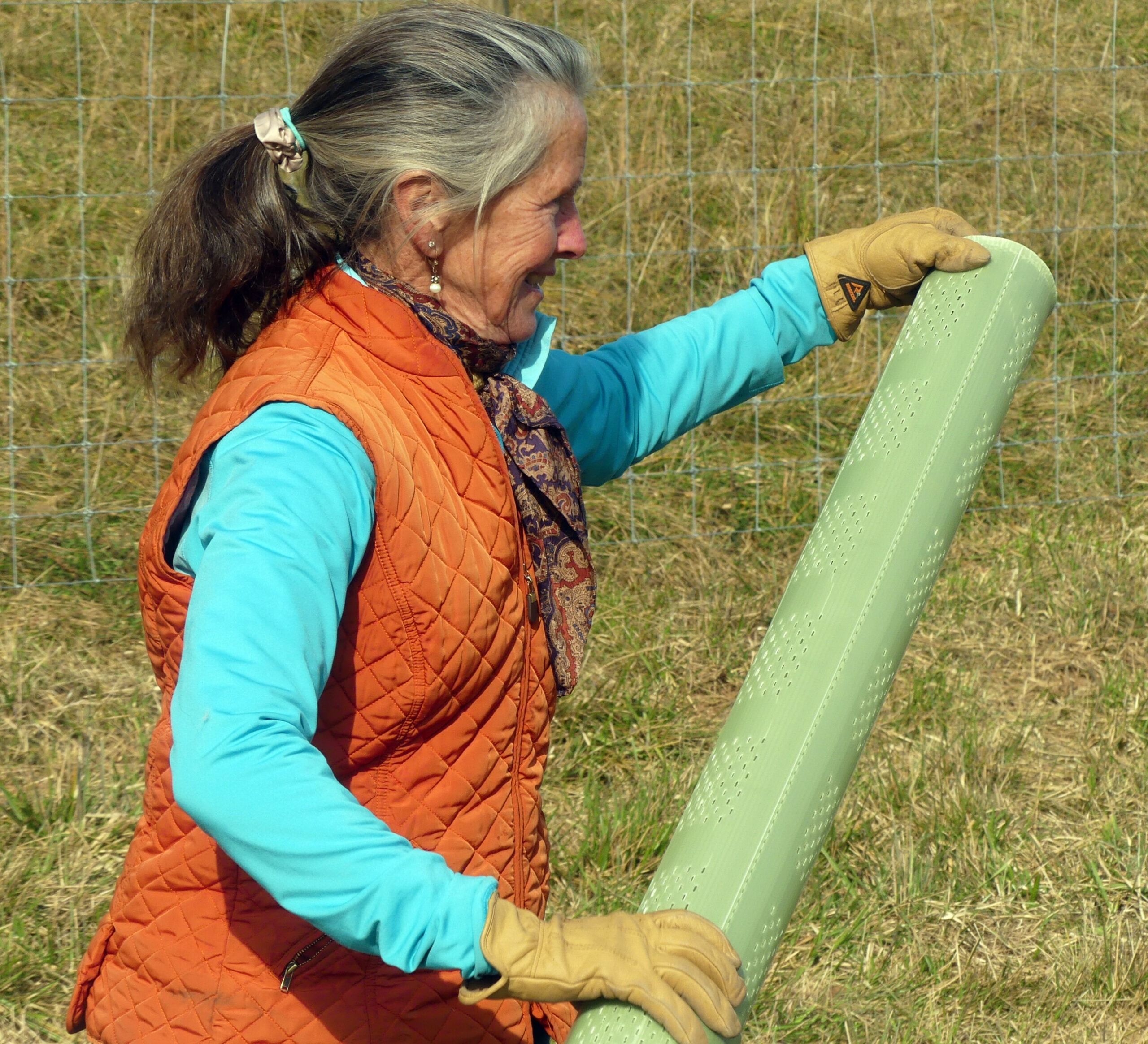 Jeanie Hoffman separates the protective plastic sheaths that will be put around the freshly planted tree saplings.
