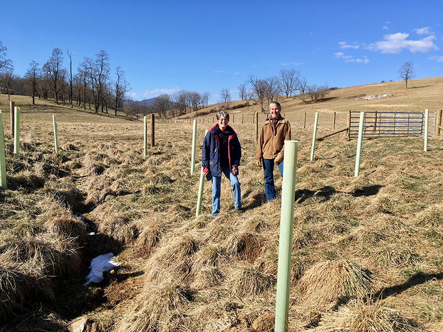 Two women stand in a winter field surrounded by saplings protected by green tubes on a blue-sky day.