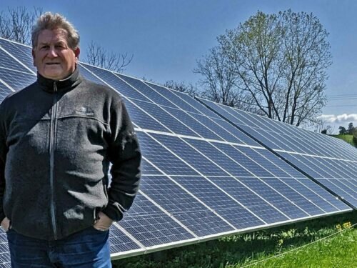 A farmer stands in front of a solar array in a green pasture with a cow peeking out from behind the panels.