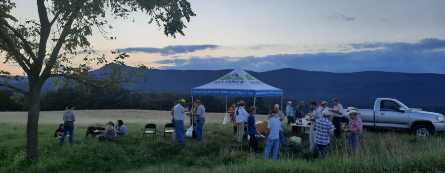 A group of people is sharing a meal under a tent with the Alliance logo set up in a field with mountains and a setting sun sky in the background.