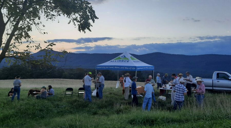 A group of people is sharing a meal under a tent with the Alliance logo set up in a field with mountains and a setting sun sky in the background.