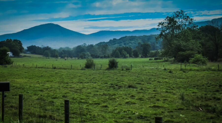 A lush green field behind a farm fence with a treelined and blue mountain in the background under a dusky teal sky.