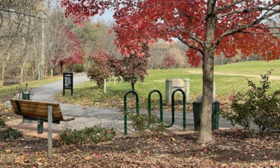 A paved walking path winds around a bend with a bench and bike racks under a tree with red fall leaves.