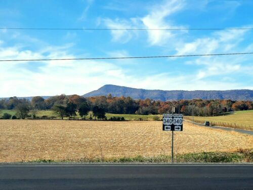 Fall view from Route 340 with a golden field in the foreground and mountains in the background under a bright blue sky with wispy clouds.