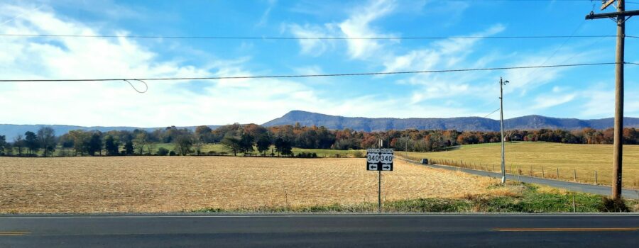 Fall view from Route 340 with a golden field in the foreground and mountains in the background under a bright blue sky with wispy clouds.