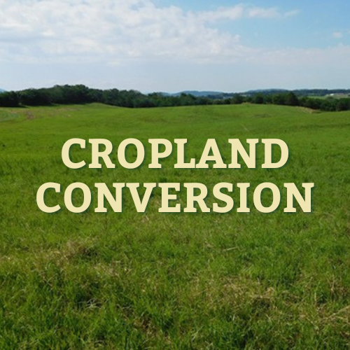 A pasture field with dense and lush green grasses all overlayed with the words 'cropland conversion'.
