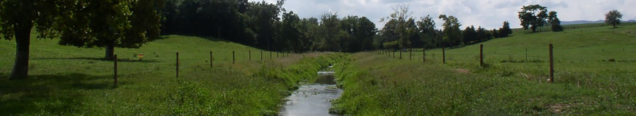 A small stream running through a field with a fence on either side and a hardwood tree in the foreground.
