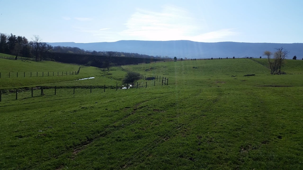 A dark dark green pasture with a small stream lined in fence.