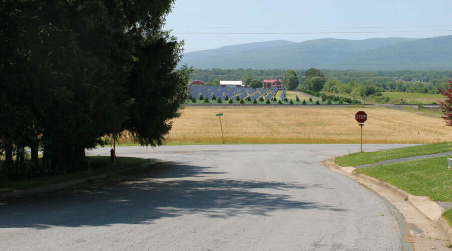 A rural intersection with a view of computer generated images of solar panels behind young evergreen trees designed to eventually shield the view of the panels.