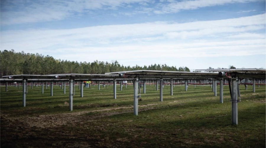 Solar panels mounted on tall posts face directly up to a cloud streaked blue sky in a field covered with green grass.