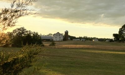 A farm scene with a house, barn and silo nestled in fields in the golden hour as the sun sets in the background.