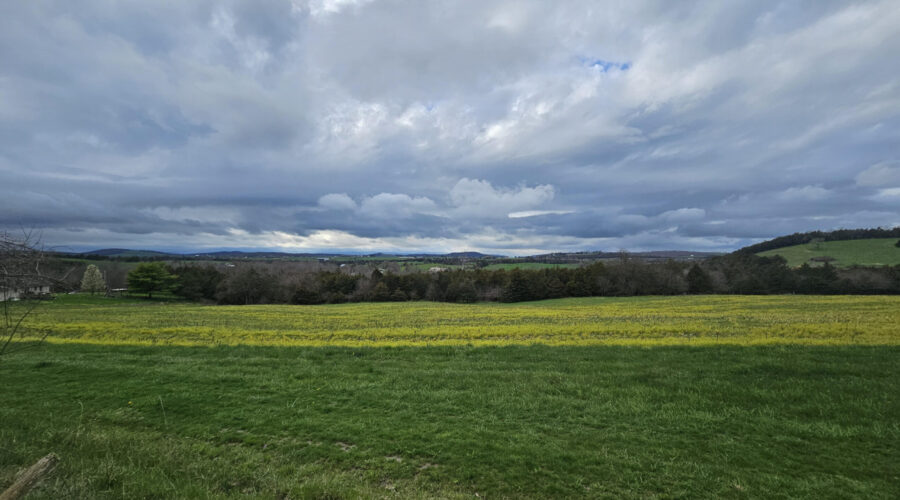 Landscape of a field in Mauzy