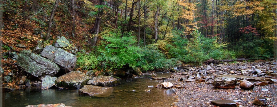 A mountain stream reflects hardwood trees beginning to show signs of fall.