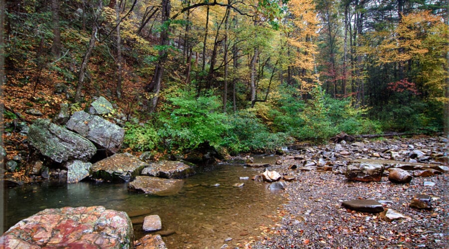 A mountain stream reflects hardwood trees beginning to show signs of fall.